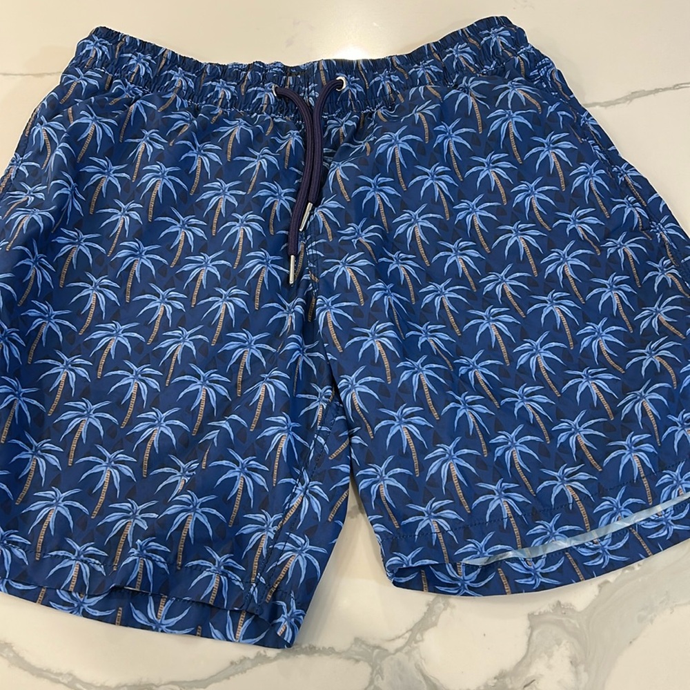 Men’s Slate and Stone swim trunks